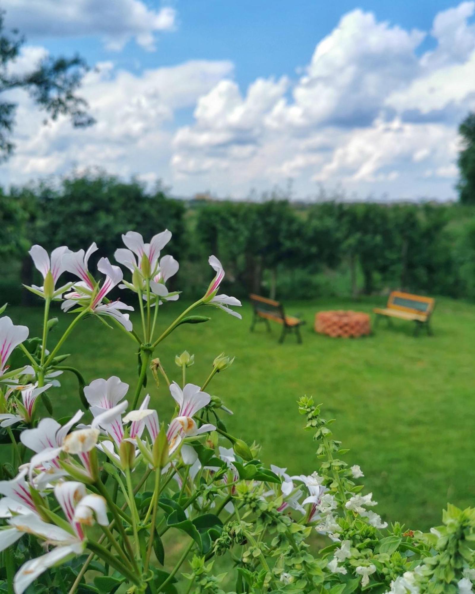 Celeste House Sibiu Esterno foto